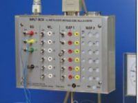 Input Boxes for Multi-ECG and Multi-MAP Measurements