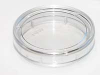 FluoroDish Cell Culture Dish