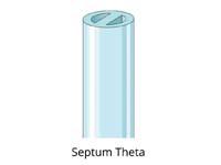 sepyum theta